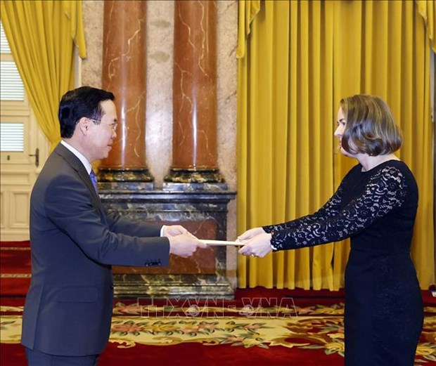Президент Во Ван Тхыонг принял верительные грамоты послов Ирландии, Италии, Кореи, Литвы hinh anh 1