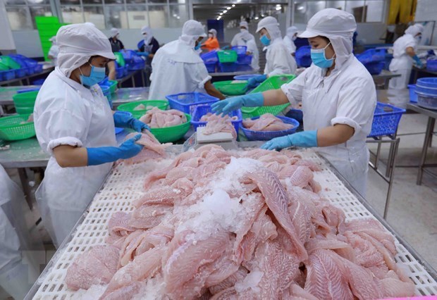 Экспорт сельскохозяиственнои, леснои и рыбнои продукции сократился на 9,5% за восемь месяцев hinh anh 1