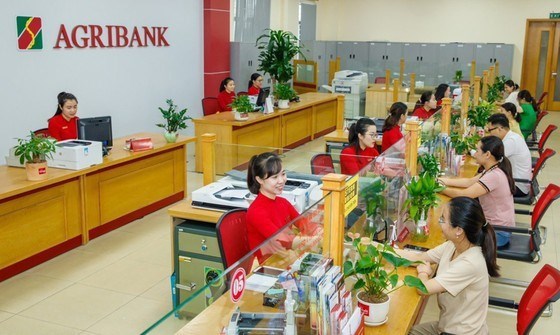 Банки присоединяются к продвижению зеленого кредитования hinh anh 1