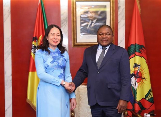Новая веха в двусторонних отношениях между Вьетнамом, Мозамбиком и ЮАР hinh anh 1