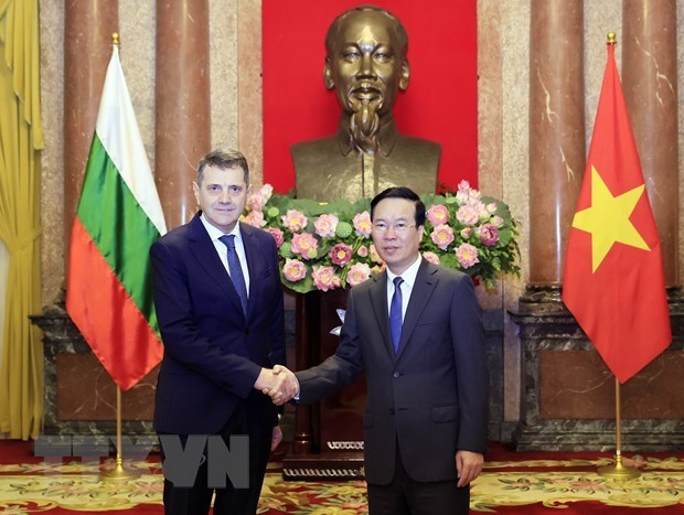 Президент Вьетнама принял вновь аккредитованных послов иностранных государств hinh anh 1