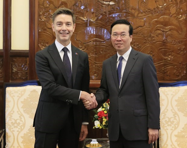 Президент Вьетнама принял вновь аккредитованных послов иностранных государств hinh anh 2