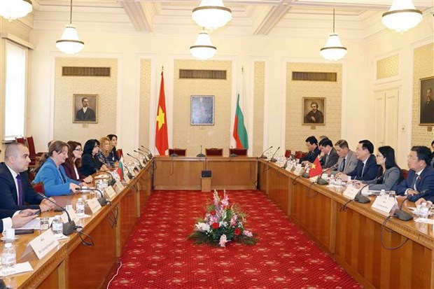 Председатель Национального собрания Выонг Динь Хюэ принял руководителеи партии Болгарии, посетил город и порт Бургас hinh anh 2