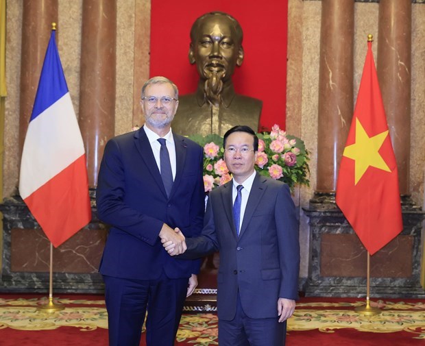 Президент Вьетнама принял вновь аккредитованных послов иностранных государств hinh anh 3