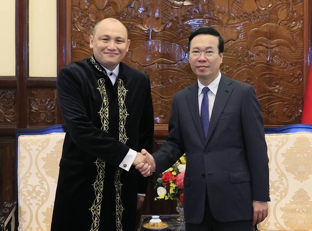 Президент Вьетнама принял вновь аккредитованных послов иностранных государств hinh anh 4