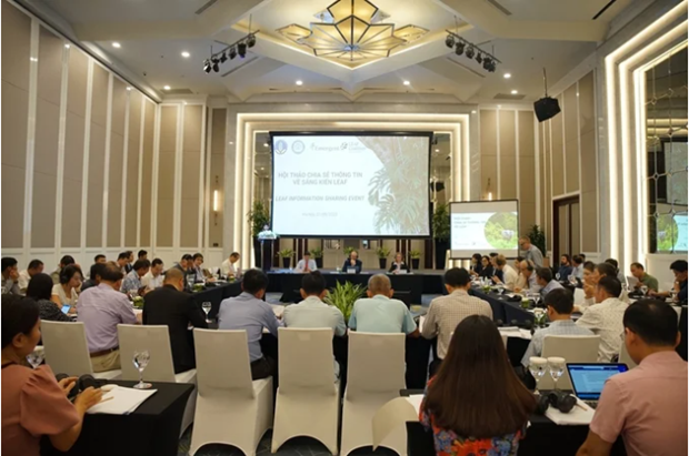 Продавая углеродные кредиты от лесов, Вьетнам получил 41 миллион долларов США hinh anh 1