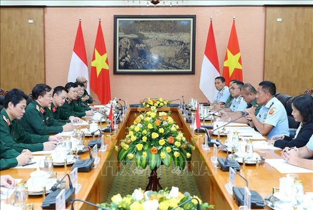 Вьетнам и Индонезия провел третии диалог по обороннои политике hinh anh 1