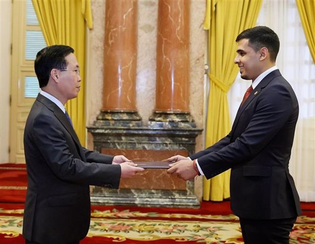 Президент Во Ван Тхыонг принял новых послов Лаоса и Венесуэлы hinh anh 1
