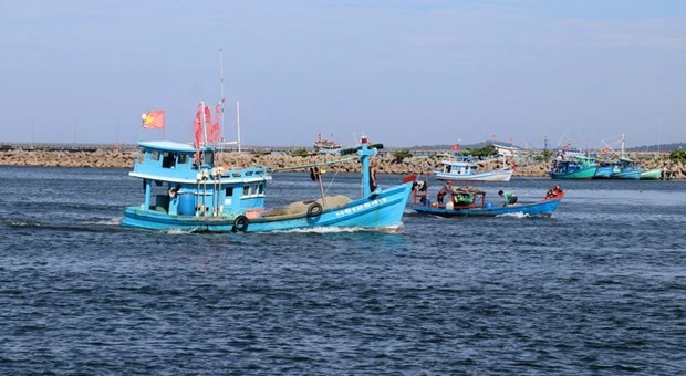 Необходимо полностью останавливать вьетнамские рыболовные суда, незаконно ведущие рыбныи промысел в иностранных водах hinh anh 1