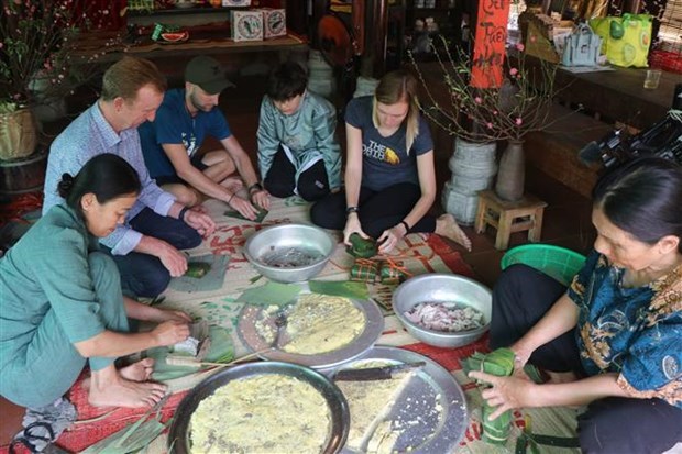 Иностранные туристы отпразднуют традиционныи вьетнамскии Тэт в древнеи столице Хюэ hinh anh 1