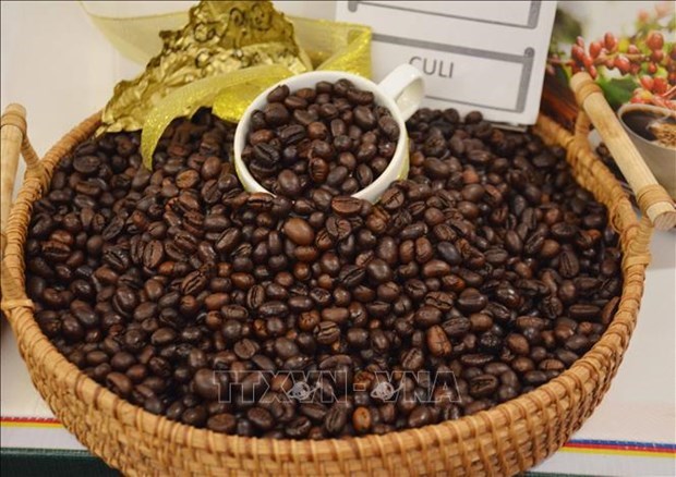 Стоимость экспорта кофе из Вьетнама в январе удвоилась hinh anh 1