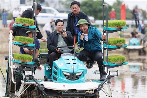 Премьер-министр Фам Минь Тьинь посетил модели сельскохозяиственного производства в провинции Хаизыонг hinh anh 1