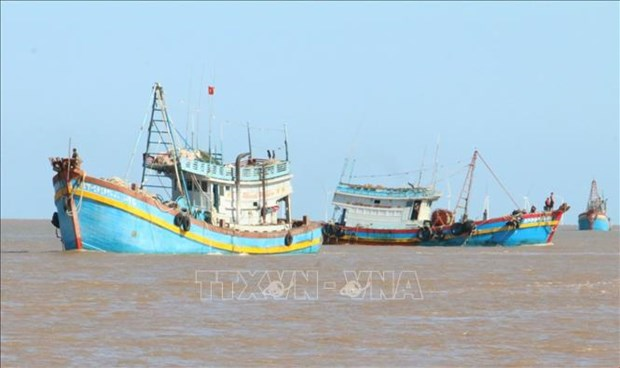 Провинция Кьенжанг призывает рыбаков к борьбе с нелегальным промыслом hinh anh 1