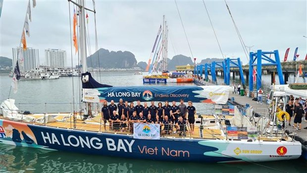 Вьетнамская команда заняла 5-е место на 5-м этапе гонки на парусных судах Clipper Race hinh anh 1