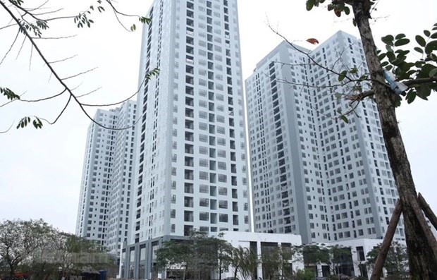Площадь земель под социальное жилье увеличилась до более чем 8390 га hinh anh 1