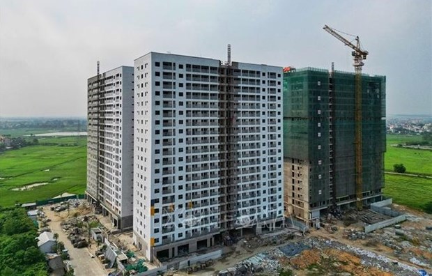 Площадь земель под социальное жилье увеличилась до более чем 8390 га hinh anh 2