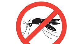 Заместитель министра здравоохранения: Вьетнам уверен в устранении малярии к 2030 году hinh anh 1