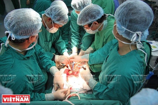 Вьетнам - яркое пятно в области трансплантации органов hinh anh 1