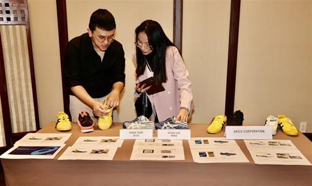 Вьетнам и Япония сотрудничают в области защиты интеллектуальнои собственности, предотвращения контрафактнои продукции hinh anh 1