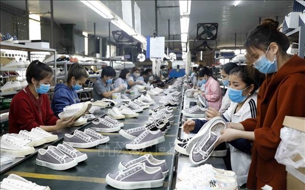 Экспорт обуви подает обнадеживающие сигналы hinh anh 1