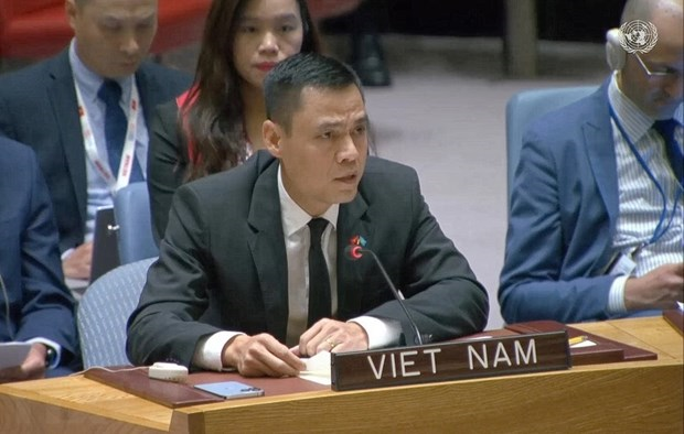Вьетнам продолжает призывать к прекращению огня в секторе Газа. hinh anh 1