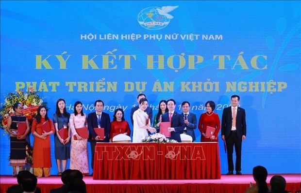 Число женщин-руководителеи во Вьетнаме растет hinh anh 1