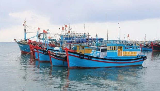 Решительное устранение существующих проблем в борьбе с незаконным выловом рыбы hinh anh 1