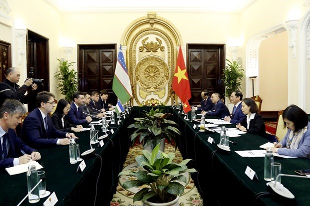 Министры иностранных дел Вьетнама и Узбекистана провели переговоры hinh anh 1