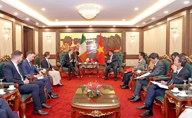 Расширение торгового и инвестиционного сотрудничества между Вьетнамом и Ирландиеи hinh anh 1