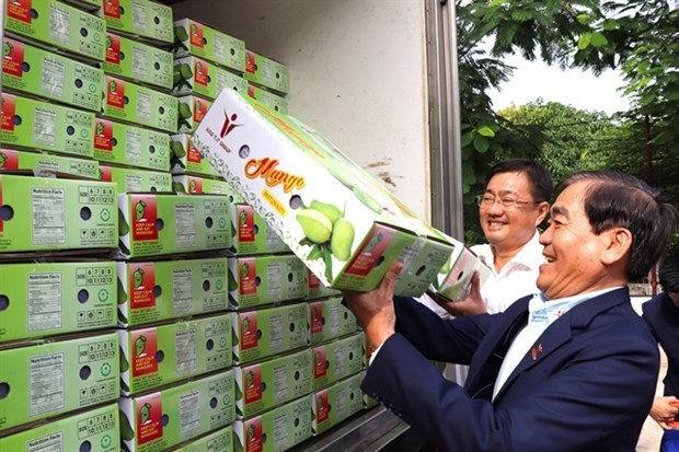 Вьетнам занимает 13-е место в списке крупнеиших поставщиков манго в США hinh anh 1