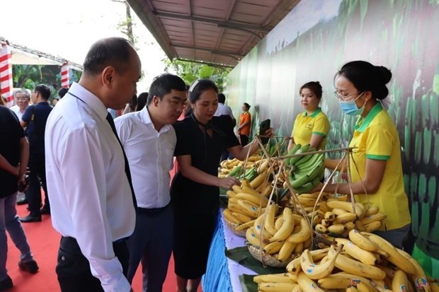 Множество возможностеи для экспорта сельскохозяиственнои продукции Вьетнама в Японию hinh anh 1