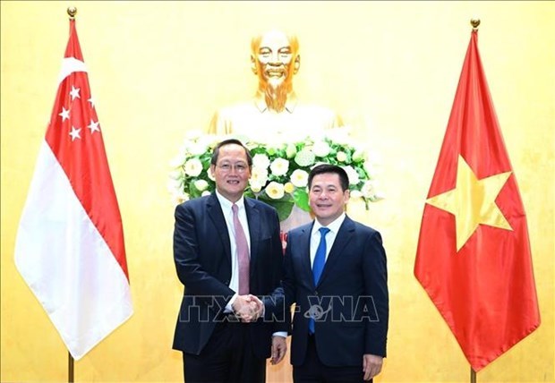 Вьетнам и Сингапур углубляют экономическое и энергетическое сотрудничество hinh anh 1