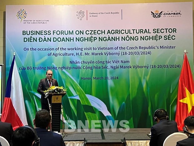 Вьетнам и Чехия намерены расширять сотрудничество в области сельского хозяиства hinh anh 1