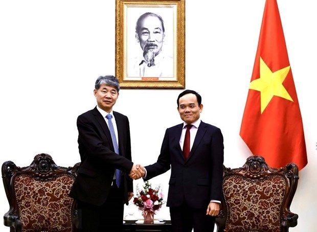 МАГАТЭ обещает продолжать сотрудничество с Вьетнамом hinh anh 1