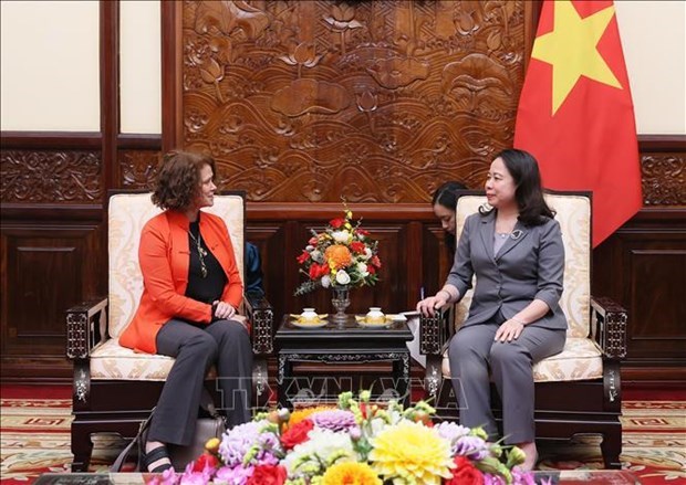 Исполняющая обязанности президента Во Тхи Ань Суан приняла директора Всемирного банка во Вьетнаме hinh anh 1