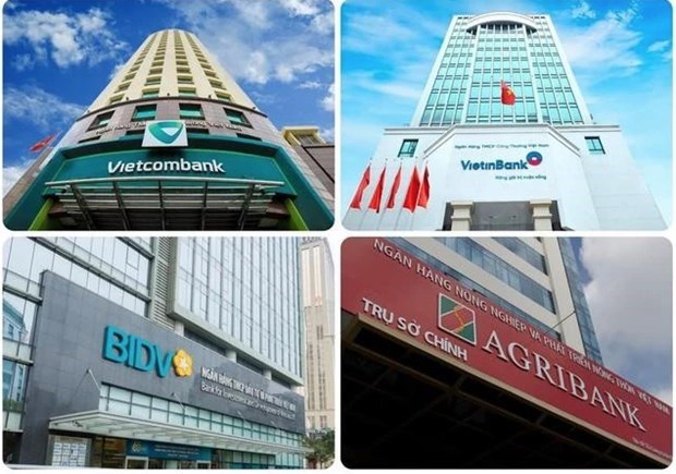 SBV утвердил назначение 14 важных банков в 2024 году hinh anh 1