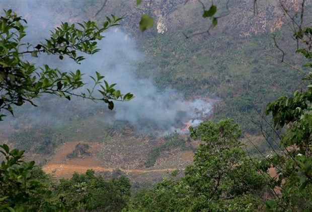 Премьер-министр распорядился усилить профилактику и борьбу с лесными пожарами hinh anh 1