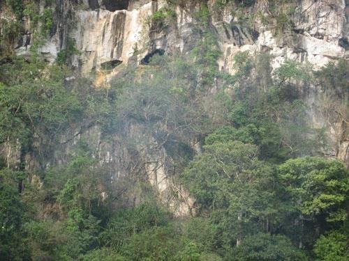 Усилия направлены на то, чтобы добиться признания пещеры Конмоонг со стороны ЮНЕСКО hinh anh 1