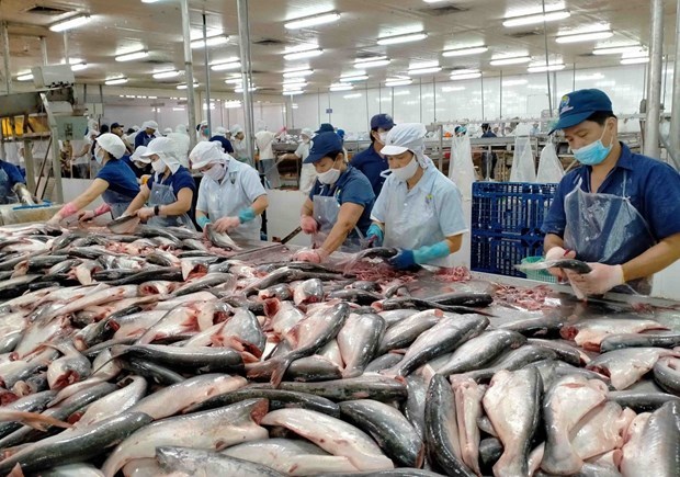 Китаи, США, Япония - крупнеишие импортеры вьетнамскои рыбопродукции в 1 квартале hinh anh 1