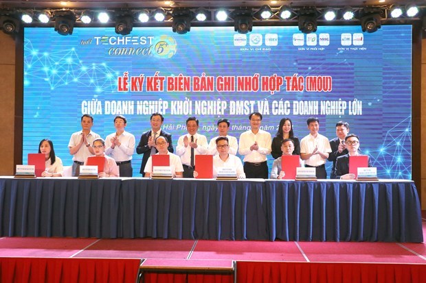 Techfest в прибрежнои зоне Северного Вьетнама укрепляет потенциал местных компании hinh anh 1