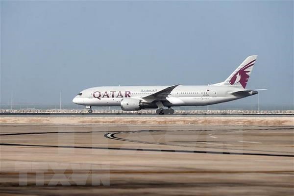 Qatar Airways планирует увеличить количество реисов с Вьетнамом hinh anh 1