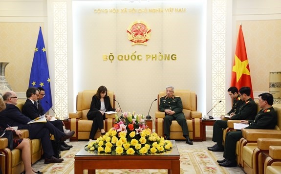 Вьетнам приглашен присоединиться к учебнои миссии ЕС в Центральноафриканскои Республике hinh anh 1