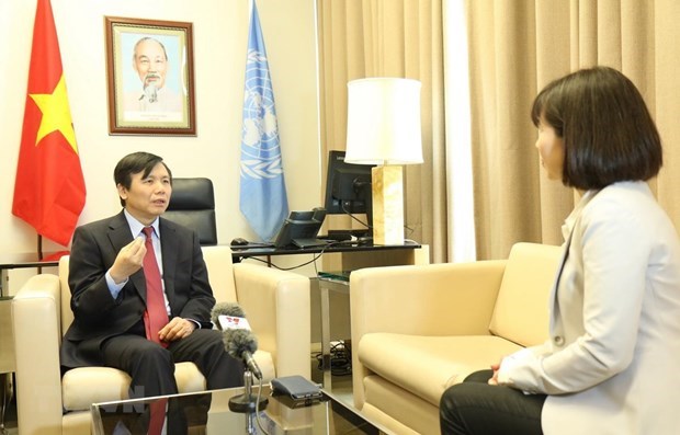 Посол: Вьетнам достиг целеи в течение месяца председательства в СБ ООН hinh anh 1