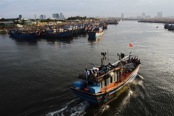 Морская экономика станет двигателем роста Дананга hinh anh 1