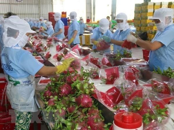 Министерство стремится продавать сельхозпродукцию на фоне эпидемии nCoV hinh anh 1