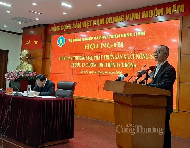 Вьетнам ищет пути диверсификации экспорта на фоне волнении о последствиях воздеиствия 2019-nCoV. hinh anh 1