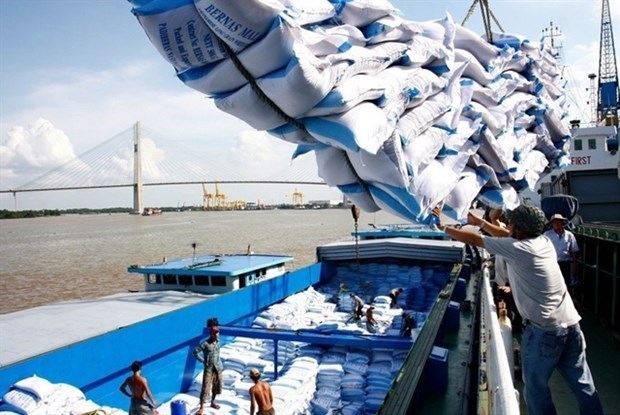 Вьетнам заметил рост экспорта риса в январе hinh anh 1