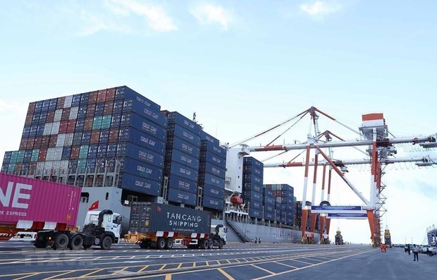 Объем грузов, обработанных в морских портах, продолжает расти в течение 7 месяцев hinh anh 1