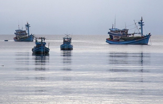 Бенче развертывает установку устроиств для мониторинга рыболовных судов hinh anh 1