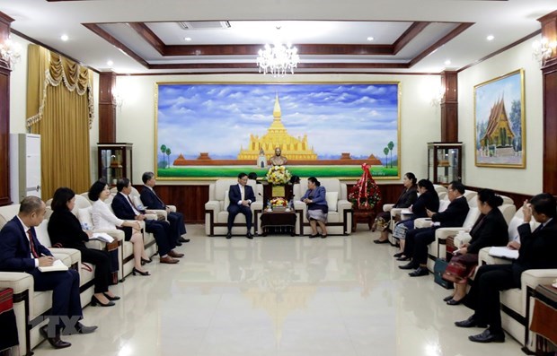 Вьетнам поздравил Лаос с 65-летием партии hinh anh 1